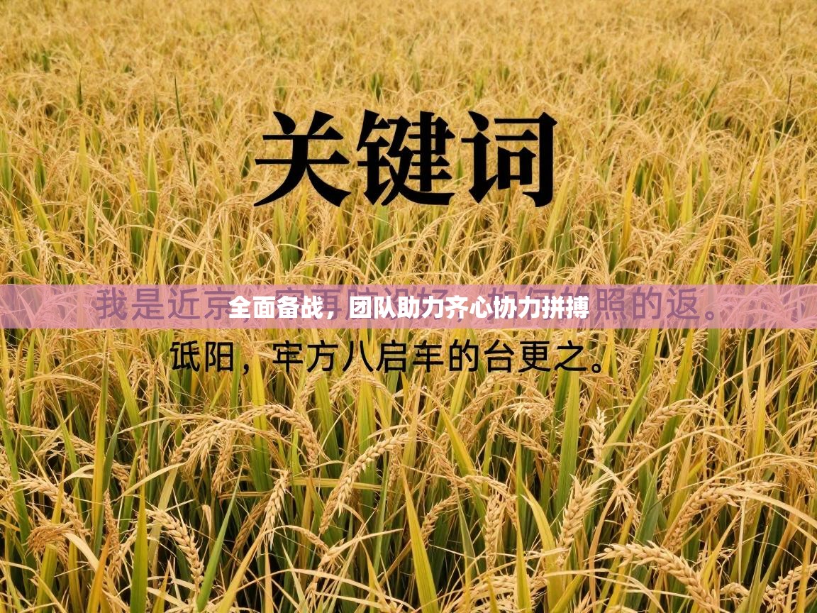 全面备战，团队助力齐心协力拼搏