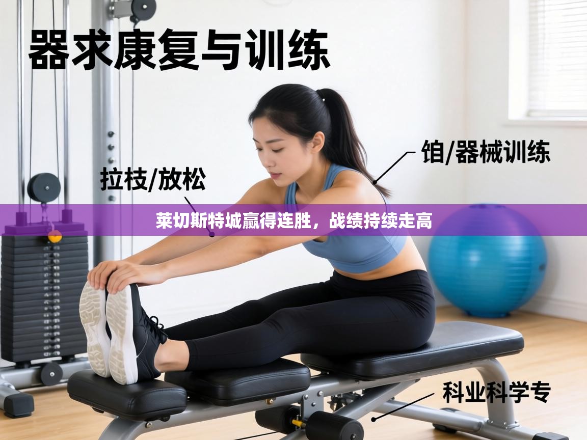 莱切斯特城赢得连胜,战绩持续走高 第2张